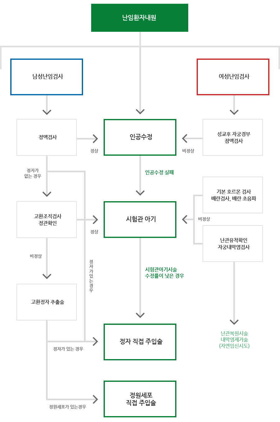 난임환자 치료 과정